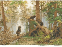 Схема «В сосновом бору» А-1